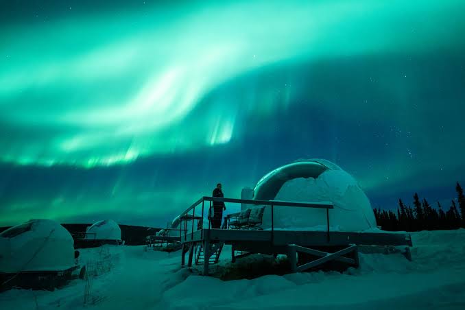 A glass-fronted dome standing among spruce trees at Borealis Basecamp, Fairbanks, Alaska